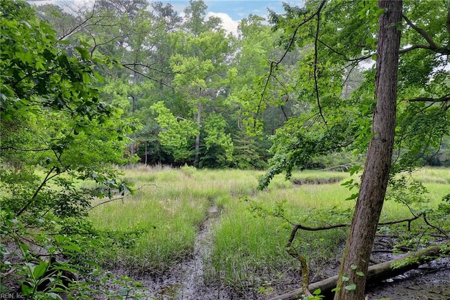 view of nature with a wooded view