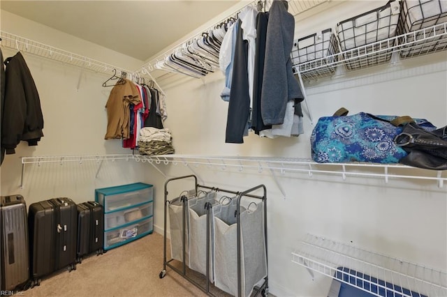 walk in closet with carpet floors