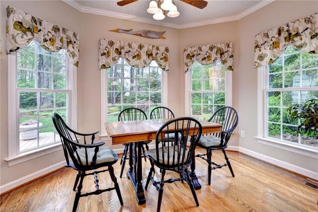 dining area with baseboards, light wood finished floors, healthy amount of natural light, ceiling fan, and ornamental molding
