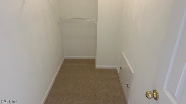 walk in closet featuring light colored carpet