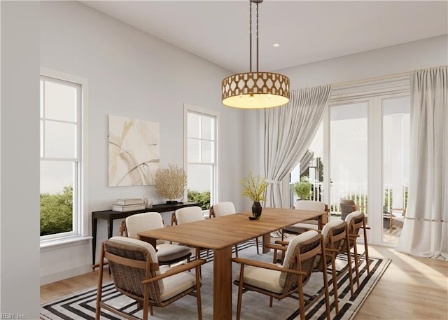 402 48th St, Virginia Beach, VA 23451 - dining room featuring light wood-type flooring