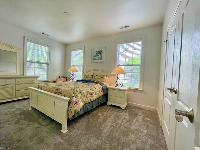 452 Blue Beech Way, Chesapeake, VA 23320 - bedroom with dark carpet and baseboards