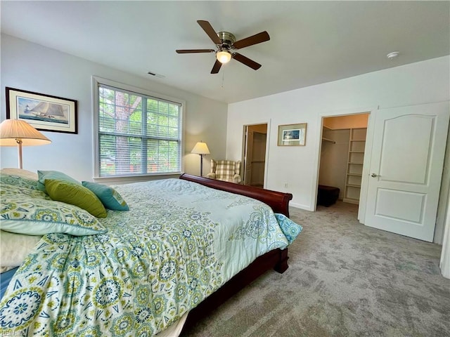 452 Blue Beech Way, Chesapeake, VA 23320 - bedroom featuring a spacious closet, carpet floors, ceiling fan, baseboards, and a closet