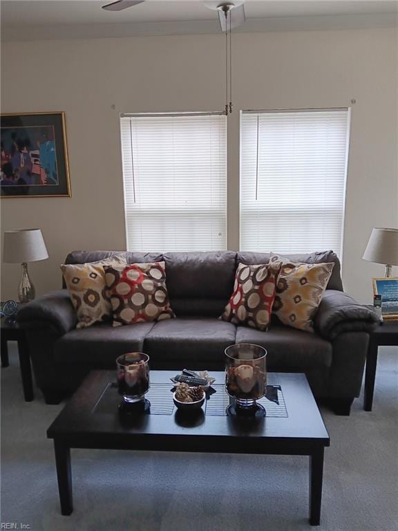 1815 Tidewater Dr, Norfolk, VA 23504 - living room with carpet flooring and plenty of natural light