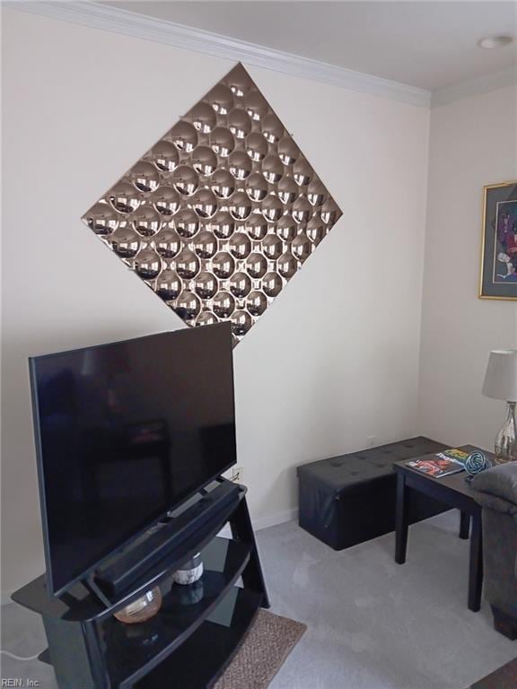 1815 Tidewater Dr, Norfolk, VA 23504 - detailed view of ornamental molding and carpet floors