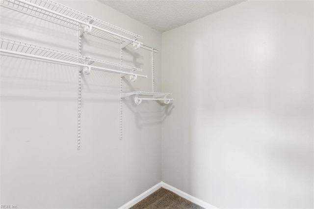 walk in closet with carpet flooring