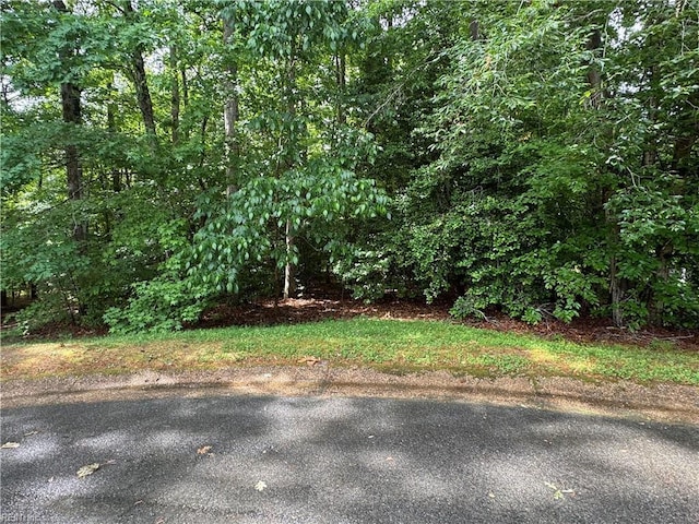 168 Killarney Ct, Williamsburg, VA 23188