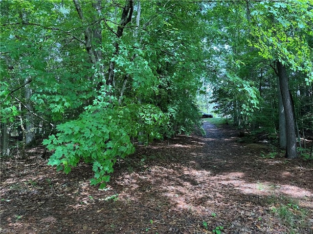 168 Killarney Ct, Williamsburg, VA 23188