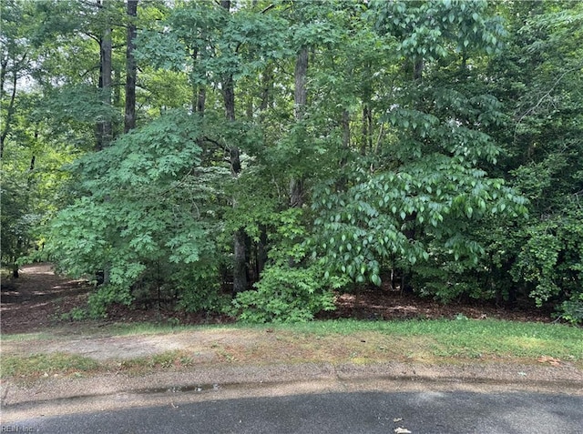 168 Killarney Ct, Williamsburg, VA 23188