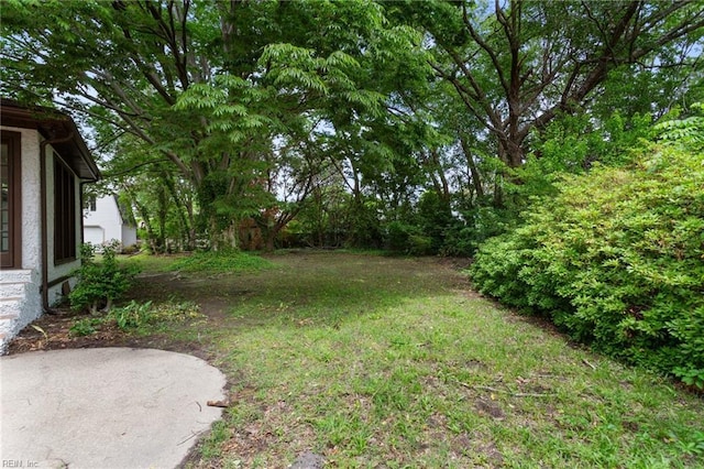 view of yard with a patio area