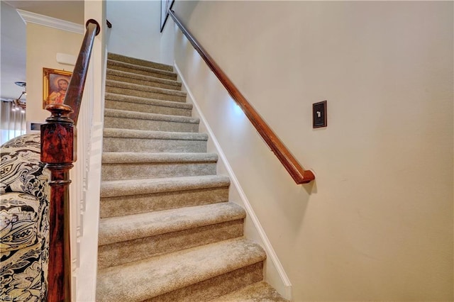 7463 Diven St, Norfolk, VA 23505 - staircase featuring ornamental molding