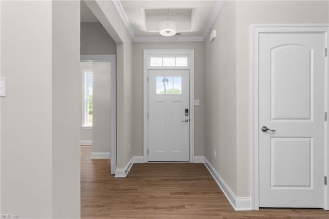 entryway featuring plenty of natural light, wood finished floors, a tray ceiling, baseboards, and crown molding