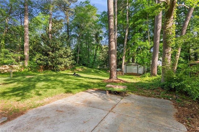 view of yard with a storage shed, a patio, and an outdoor structure