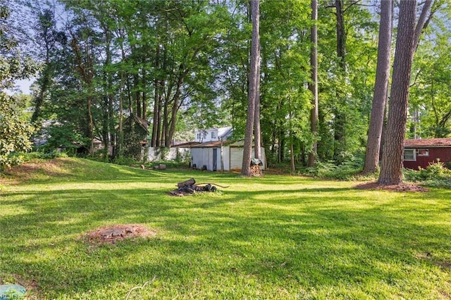 view of yard featuring a shed, an outdoor fire pit, and an outbuilding