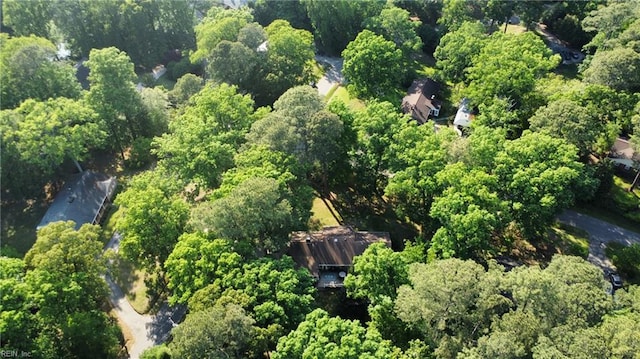 1601 Upton Pl, Suffolk, VA 23433 - drone / aerial view featuring a view of trees