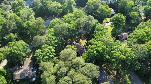 1601 Upton Pl, Suffolk, VA 23433 - drone / aerial view featuring a wooded view