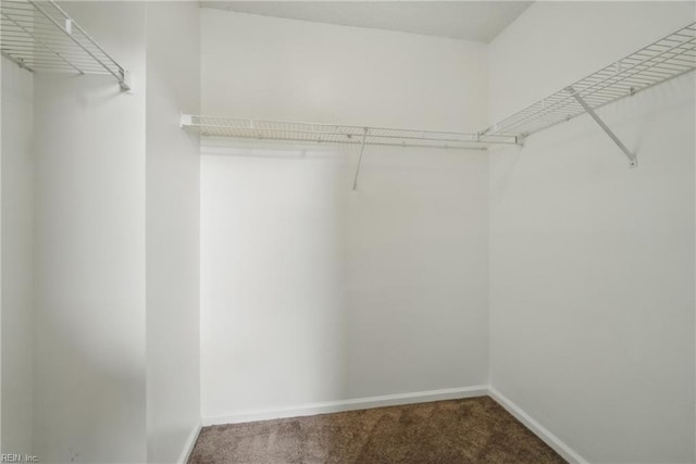 walk in closet featuring carpet flooring