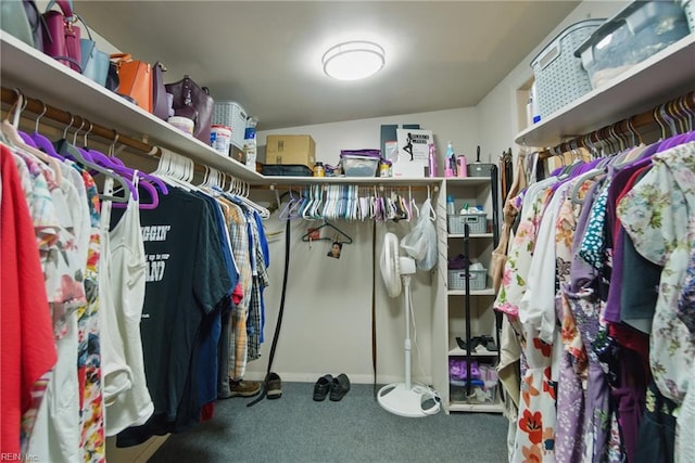 4757 Bunker Hill Ln, Virginia Beach, VA 23462 - spacious closet with carpet flooring