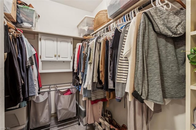 view of spacious closet