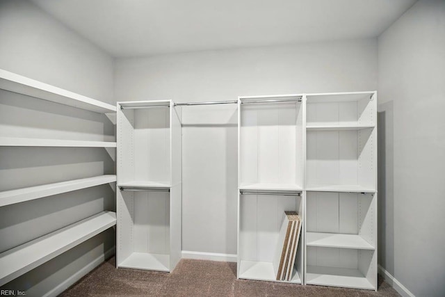 spacious closet with carpet floors