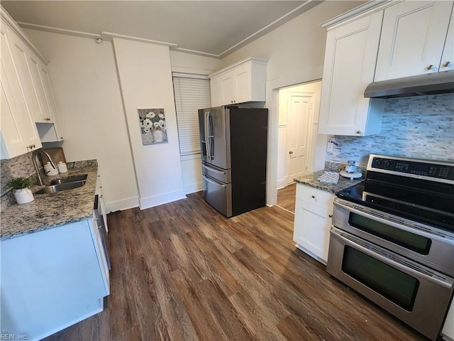 511 Boissevain Ave, Norfolk, VA 23507 - kitchen featuring appliances with stainless steel finishes, a sink, under cabinet range hood, tasteful backsplash, and white cabinetry