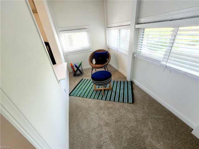 511 Boissevain Ave, Norfolk, VA 23507 - living area featuring carpet floors and baseboards