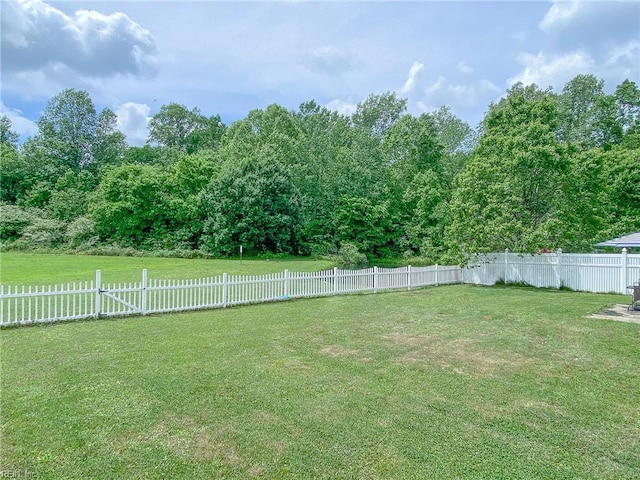 1242 Woods Edge Cir, Suffolk, VA 23434 - view of yard