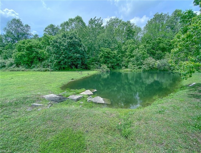 1242 Woods Edge Cir, Suffolk, VA 23434 - water view with a heavily wooded area