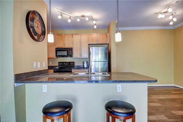 1400 Granby St Unit 309, Norfolk, VA 23510 - kitchen with black appliances, a sink, a peninsula, rail lighting, and a breakfast bar area