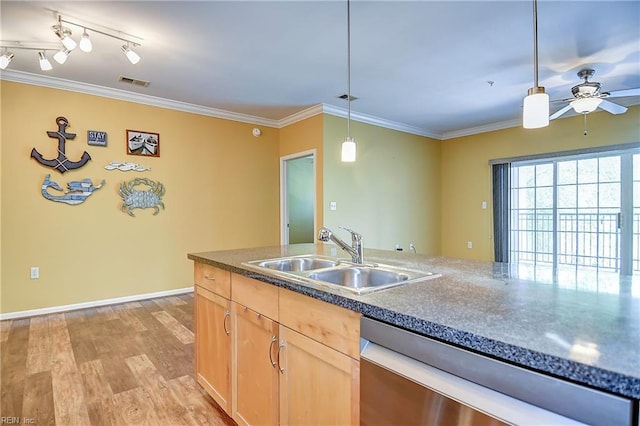 1400 Granby St Unit 309, Norfolk, VA 23510 - kitchen with dishwasher, a sink, light wood finished floors, ceiling fan, and light brown cabinetry