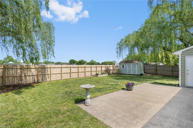 view of yard with a storage shed, a patio, and an outdoor structure