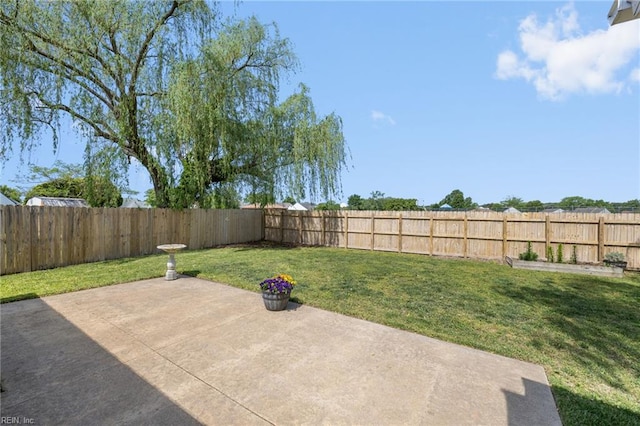 view of yard featuring a patio