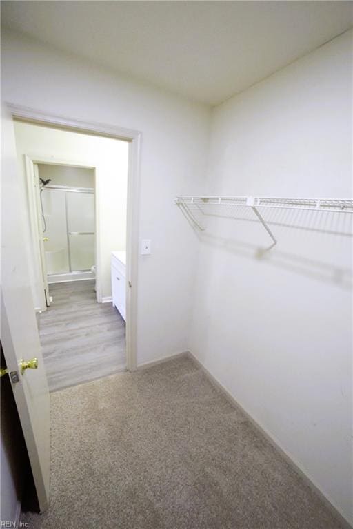 spacious closet featuring carpet floors