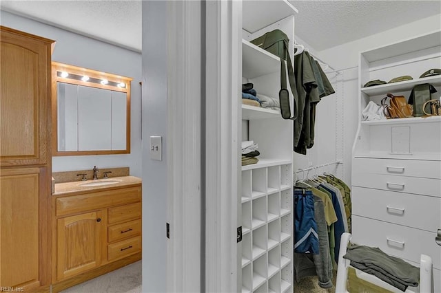112 Two Turkey Run, Yorktown, VA 23692 - walk in closet featuring a sink