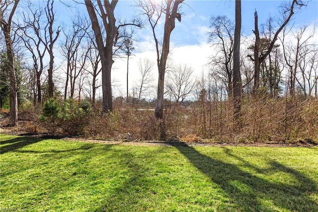 view of grassy yard