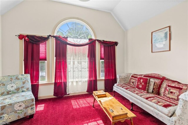 2234 Creekway Dr, Smithfield, VA 23430 - carpeted living room featuring lofted ceiling