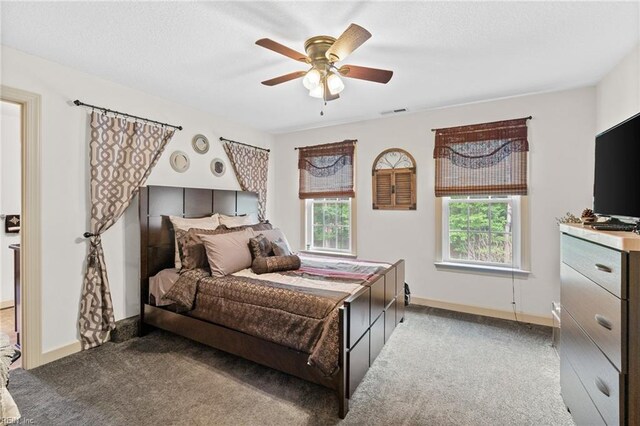 2234 Creekway Dr, Smithfield, VA 23430 - carpeted bedroom featuring baseboards and a ceiling fan