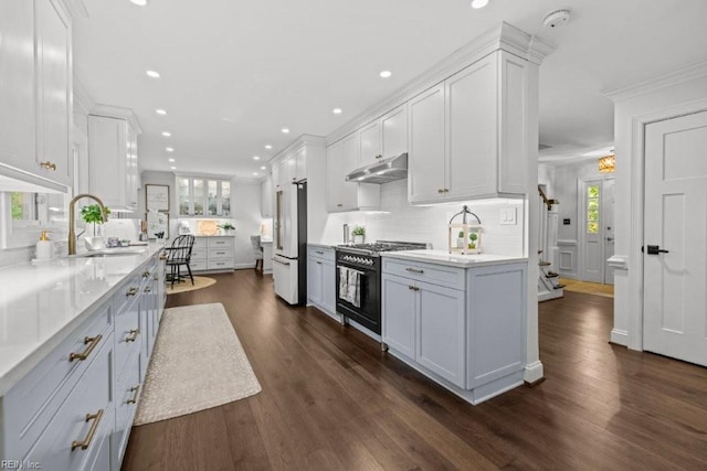kitchen with high quality appliances, a sink, under cabinet range hood, backsplash, and dark wood-style flooring