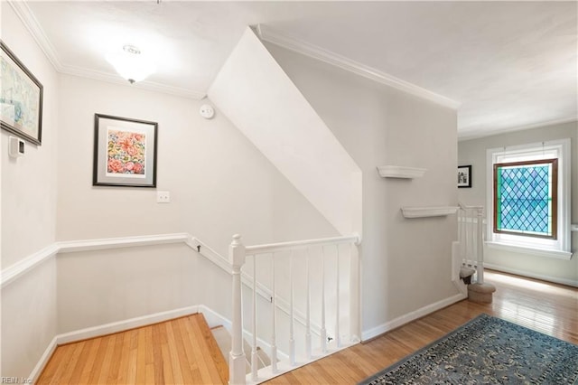 338 W Olney Rd, Norfolk, VA 23507 - stairs featuring wood finished floors, crown molding, and baseboards