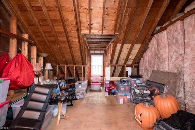 338 W Olney Rd, Norfolk, VA 23507 - view of unfinished attic