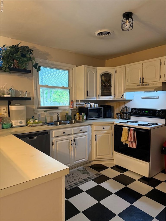 kitchen featuring range with electric cooktop, under cabinet range hood, a sink, stainless steel microwave, and dishwashing machine