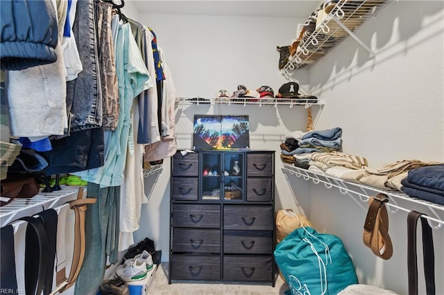 view of spacious closet