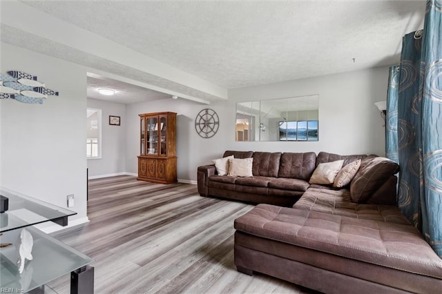147 Fenwood Cres, Newport News, VA 23608 - living room featuring a textured ceiling, wood finished floors, and baseboards
