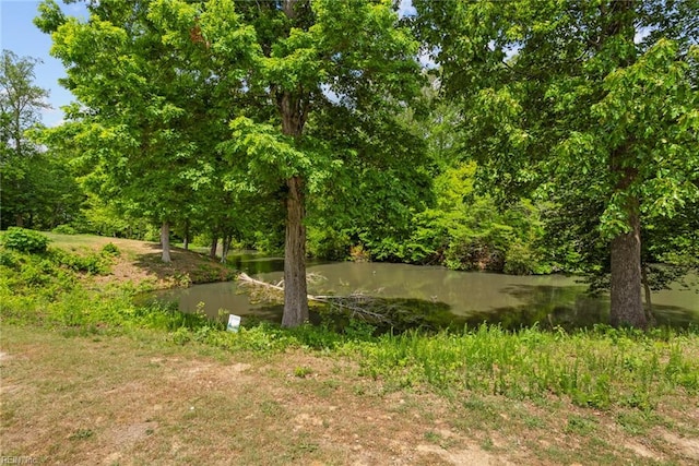 703 Lakeview Cv, Smithfield, VA 23430 - view of yard with a water view