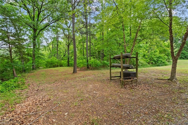 703 Lakeview Cv, Smithfield, VA 23430 - view of yard featuring a view of trees