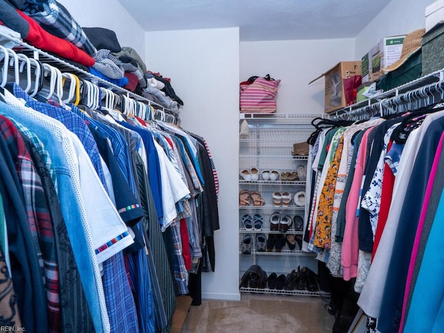 spacious closet featuring carpet floors