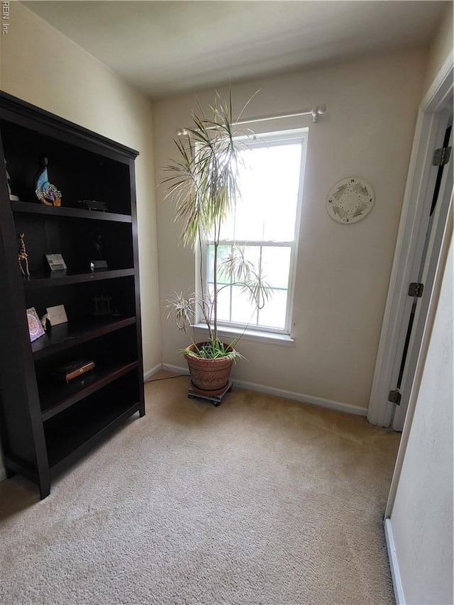 detailed view of carpet flooring and baseboards
