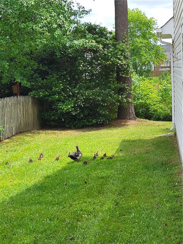 1316 Raynor Dr, Virginia Beach, VA 23456 - view of yard