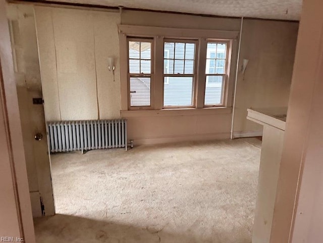 spare room with radiator and carpet