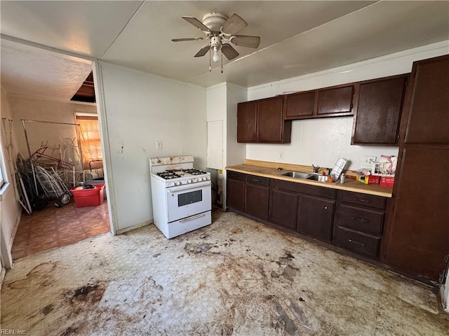 kitchen with white gas range, a sink, dark brown cabinetry, a ceiling fan, and light countertops